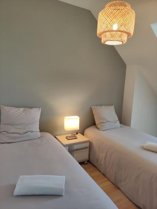 Appartamento Superbe Duplex « Le Grevy » Dole Esterno foto